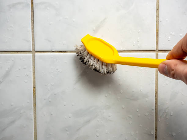 Best Mold Cleaning Services  in Dryden, MI